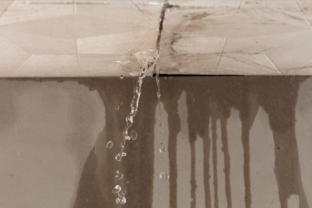 Professional Water Damage Repair technician working in Easthampton, MA